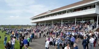 The betting ring at Mallow changes regulator on 1st December