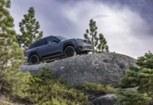 The new MINI Countryman Untamed Edition: More freedom for adventure